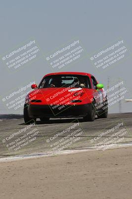 media/Sep-14-2024-Speed Ventures (Sat) [[a2bf28f496]]/Yellow Group/Session 2 (Grapevine)/